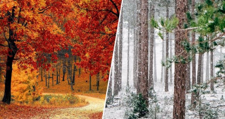 Синоптики розповіли, чи чекати денних морозів і снігу в листопаді: прогноз на місяць