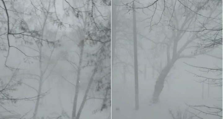 У Чернігові під час снігопаду гриміла гроза: відео рідкісного явища