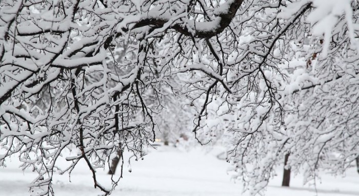 Мокрий сніг і потужний вітер: сьогодні українців атакує негода