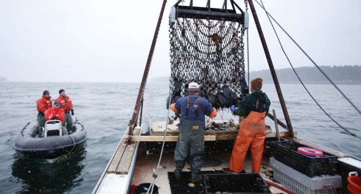 У Чилі рибалки спіймали монстра (фото)
