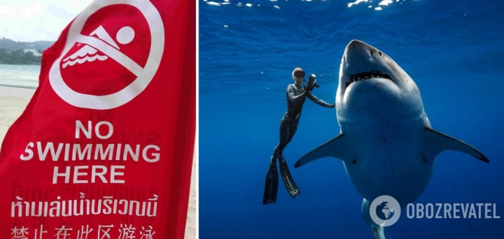 У Єгипті акула напала на туристку, відкусивши руку та ногу, жінка померла. Відео