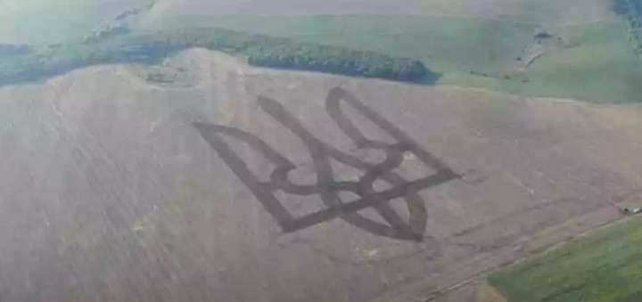 На полях Хмельниччини аграрії створили гігантські тризуби і мапу України (ВІДЕО)