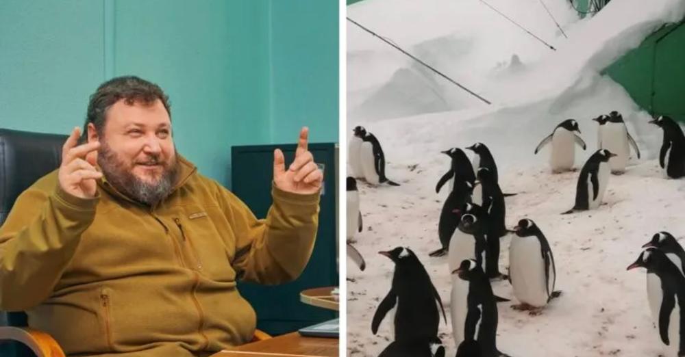 Українці просто в шоці! Держава виділила 463 млн гривень на вивчення пінгвінів