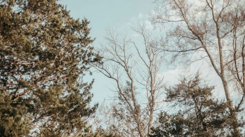 Погода в Україні кардинально погіршиться: де очікувати похолодання 10-11 травня