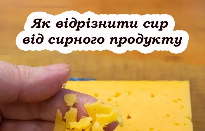 Як відрізнити справжній сир від сирного продукту: швидкий спосіб
