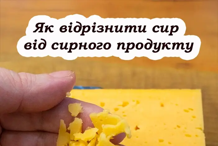 Як відрізнити справжній сир від сирного продукту: швидкий спосіб