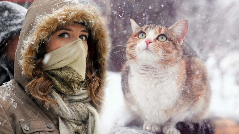 Синоптики розказали якої зими слід чекати в цьому році, та коли буде найхолодніше