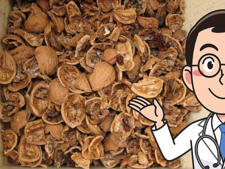 Куди подіти шкарлупу від горіхів, та яку користь вона може принести