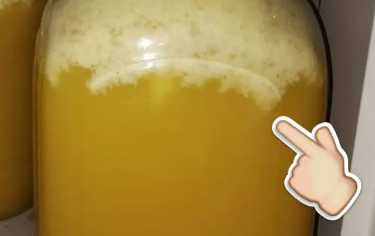 Головні причини появи білої піни в банці з медом, та чи можна його після цього їсти