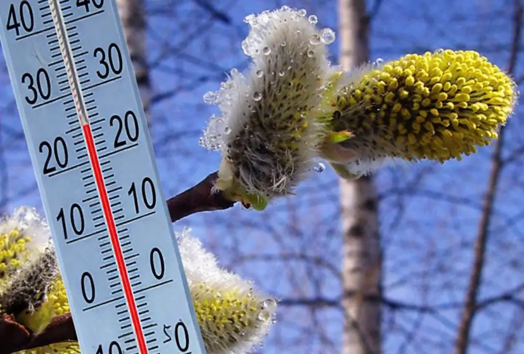 Прогноз погоди на весну 2026 в Україні. Доки буде лежати сніг і коли чекати на справжнє тепло