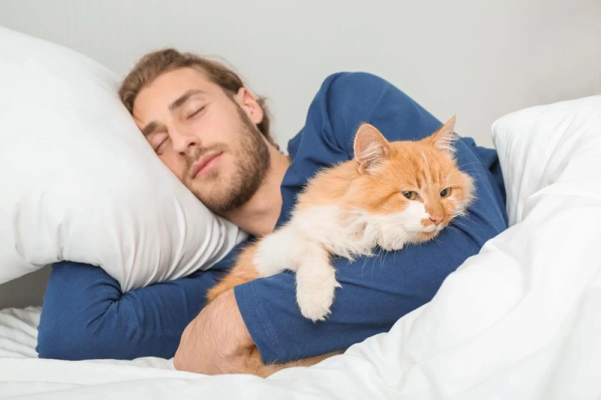 Головна причина, чому кішка спить із вами: ви будете зворушені