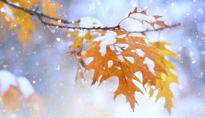 В Україну прийде перший сніг: прогноз погоди на тиждень