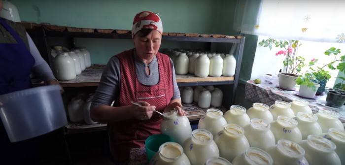 Виготовляють сир, сметану та масло: на Вінниччині жителі села створили соціальну молочарню