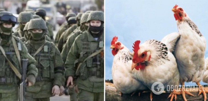 У мережі показали, як «друга армія світу» воює з українськими курми. Відео