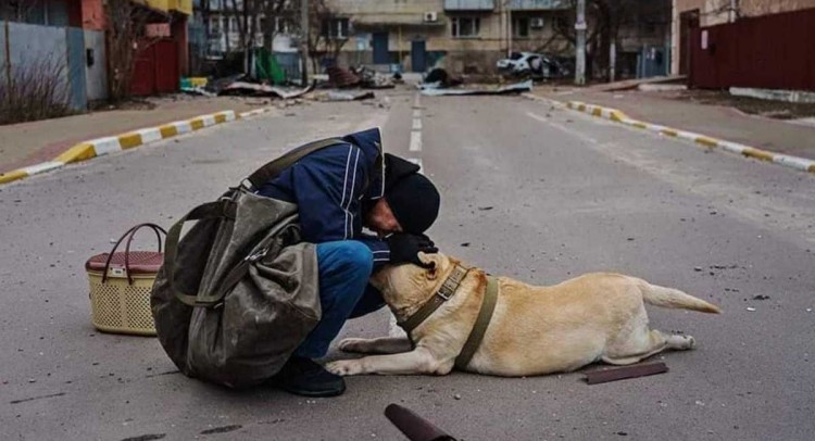 Фото дня: чоловік після обстрілу намагається втішити свого наляканого собаку