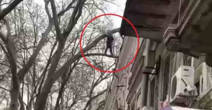 В Одесі чоловік ліз до квартири коханої і застряг на дереві: він просив вертоліт та гроші