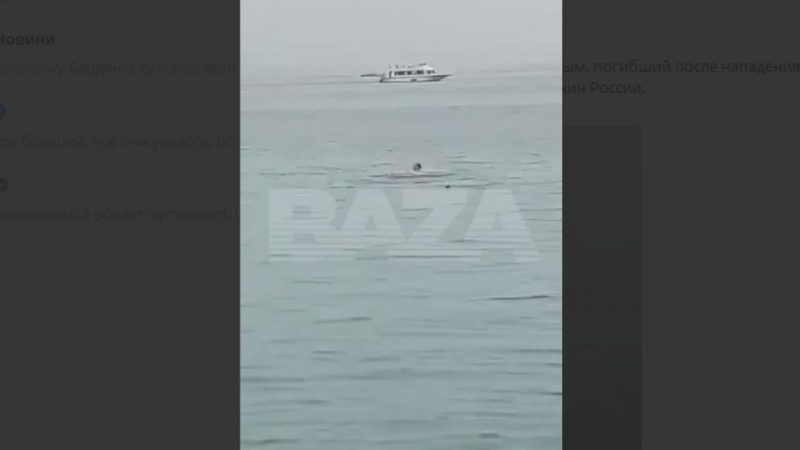 У Єгипті акула приплила до берега, потягнула та з’їла російського туриста