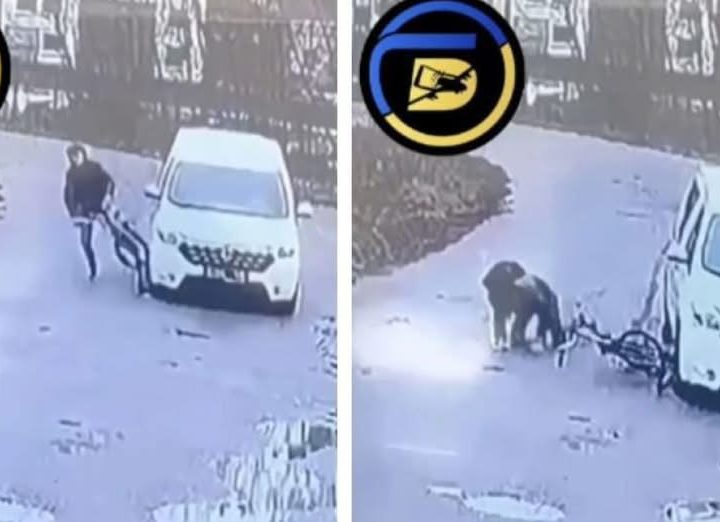 У Харкові працівники ТЦК автівкою збили велосипедиста: як вони це пояснили (продовження відео)