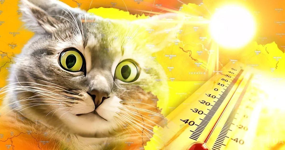 Торнадо, смерчі і +40°C: синоптики готують українців до аномального літа з «сюрпризами»