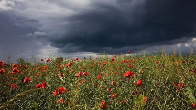 Україну накриє негода: в яких регіонах будуть дощі та шквали