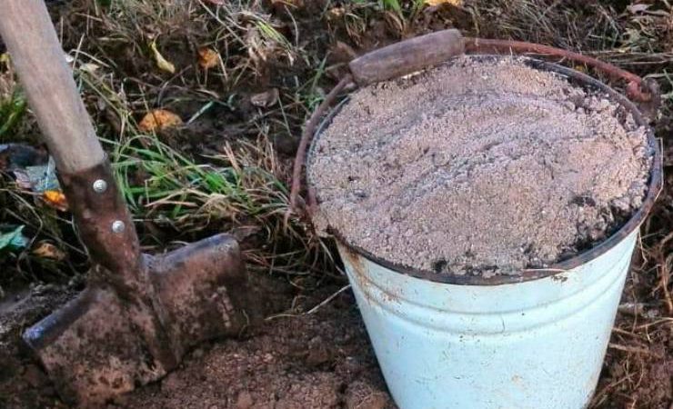 Попіл на городі: як правильно його використовувати, щоб покращити родючість