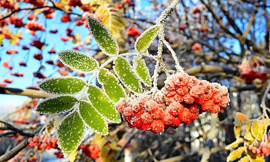 В Україну йде різке похолодання, можливі навіть заморозки: синоптик назвала дату