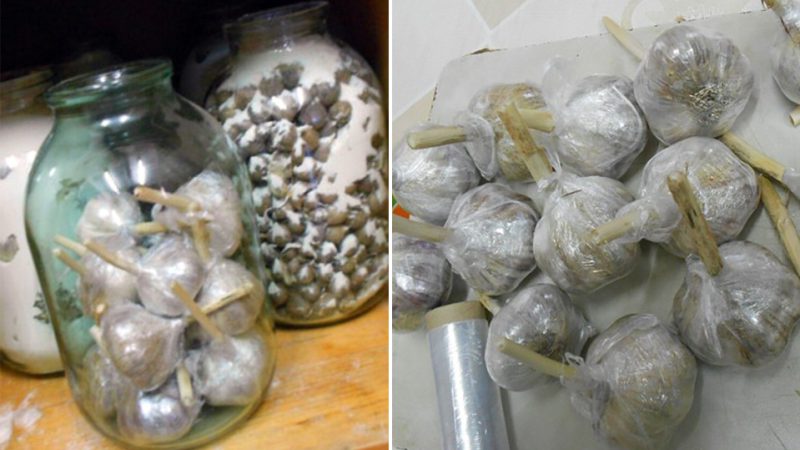 Завжди зберігаю так часник. Лежить до самої весни і не псується