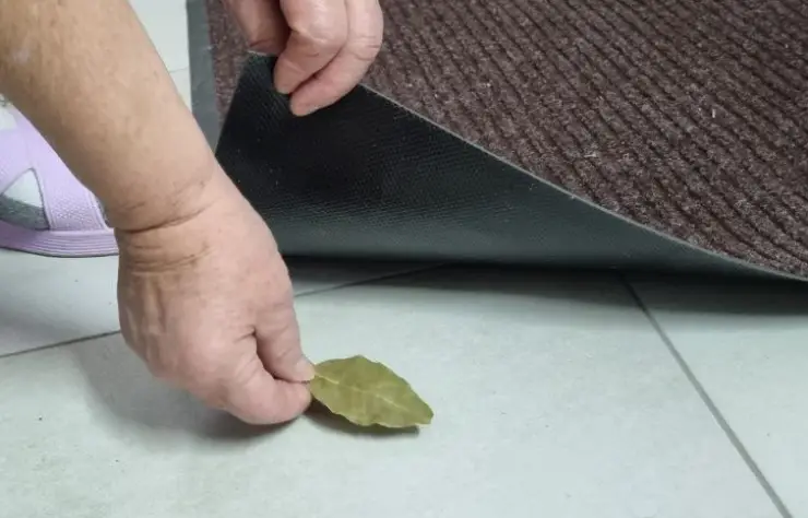 Чому багато господарів кладуть лаврове листя під килимок вхідних дверей. Так робили ще наші прадіди