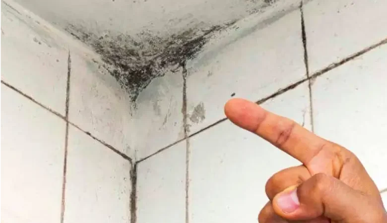 Більше ніякої плісняви у ванній. Що робити, щоб позбутися її
