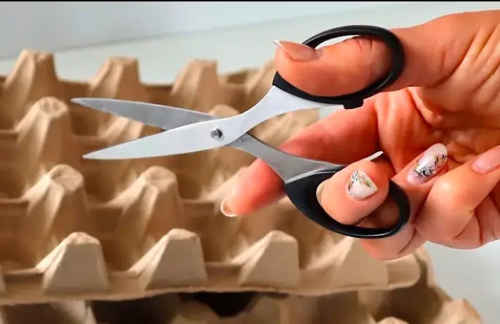 5 способів використати картонні лотки для яєць вдома. Вони ще принесуть багато користі