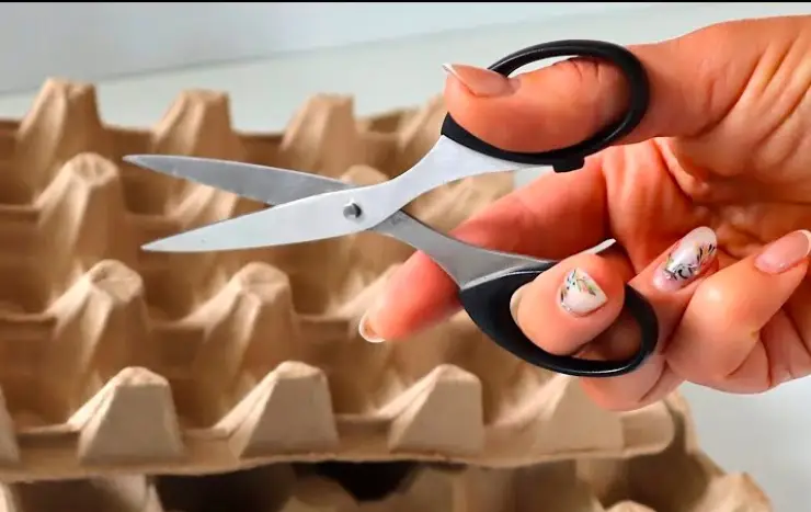 5 способів використати картонні лотки для яєць вдома. Вони ще принесуть багато користі