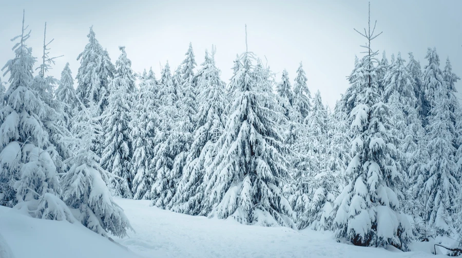 Синоптики прогнозують послаблення морозів
