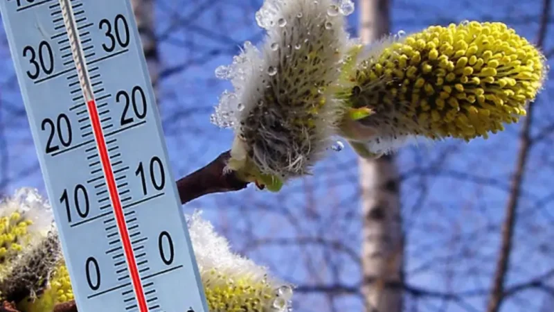 Прогноз погоди на весну 2026 в Україні. Доки буде лежати сніг і коли чекати на справжнє тепло