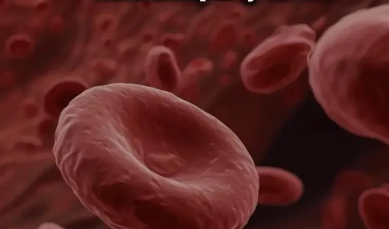 5 справжніх причин високого холестерину, про які майже ніхто нормально не пояснює