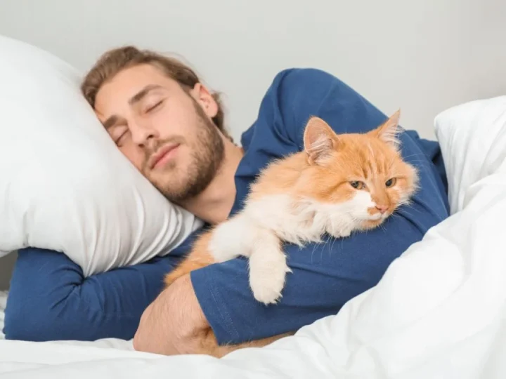 Головна причина, чому кішка спить із вами: ви будете зворушені