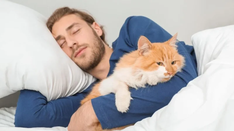 Головна причина, чому кішка спить із вами: ви будете зворушені