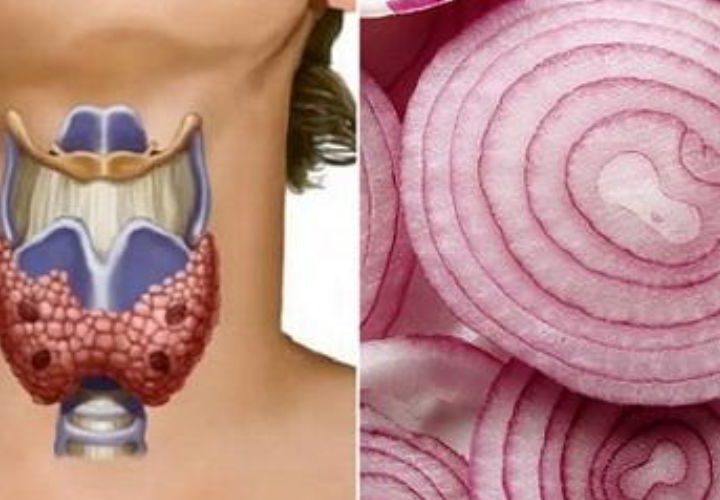 Червона цибуля може творити чудеса для щитовидної залози – ось як її використовувати