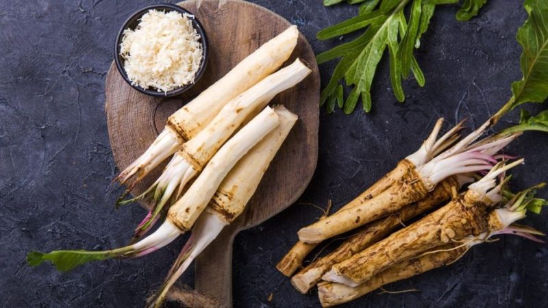 Збери – не лінуйся! Хрін очищає судини, лікує гіпертонію, стенокардію і проблеми з жовчним