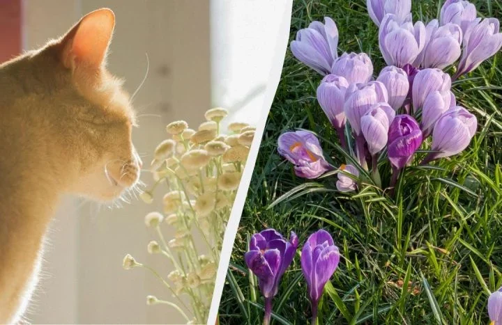 22 березня — Василь Теплий: як один день у березні допомагав передбачити весну і врожай