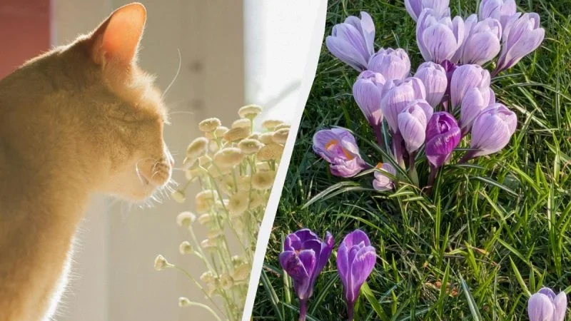 22 березня — Василь Теплий: як один день у березні допомагав передбачити весну і врожай