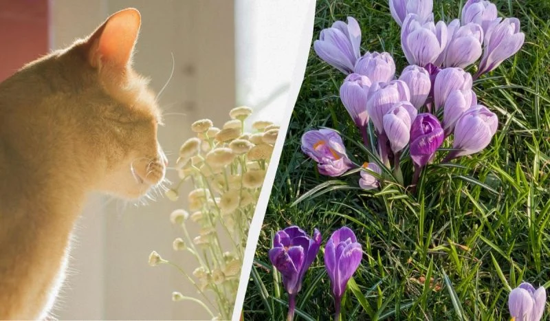 22 березня — Василь Теплий: як один день у березні допомагав передбачити весну і врожай