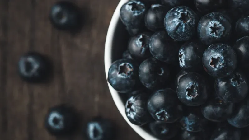Чорниця для мозку: маленька ягода з великим ефектом для пам’яті