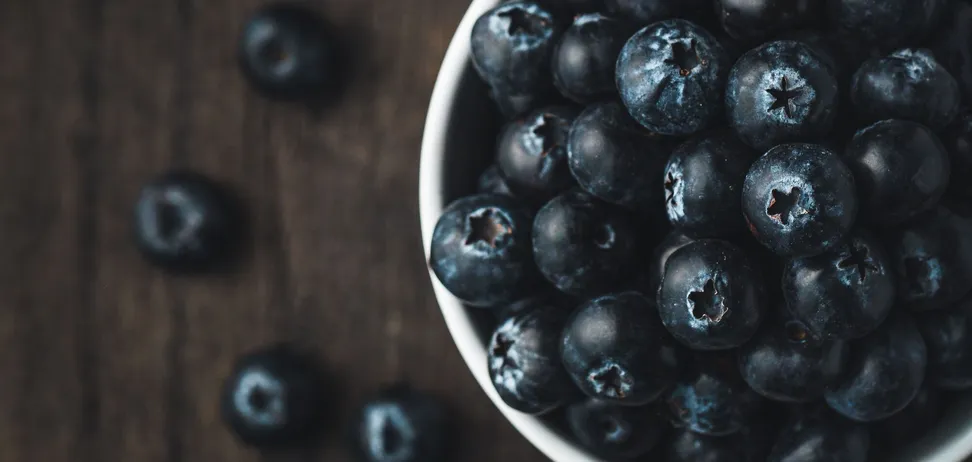 Чорниця для мозку: маленька ягода з великим ефектом для пам’яті