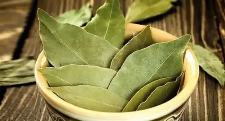 Лавровий лист: чим може бути корисний і де його можливості обмежені