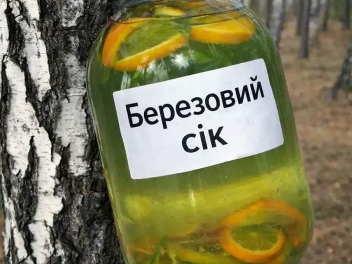 Консервація березового соку: як закрити правильно і з чим поєднувати