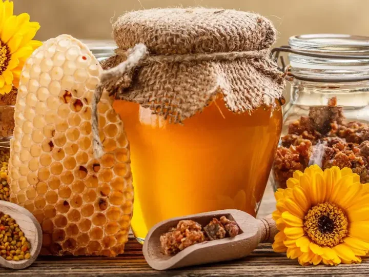 Прополіс – природний еліксир здоров’я. Як приготувати лікувальну настоянку в домашніх умовах