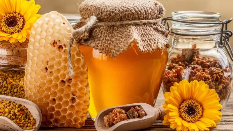 Прополіс – природний еліксир здоров’я. Як приготувати лікувальну настоянку в домашніх умовах