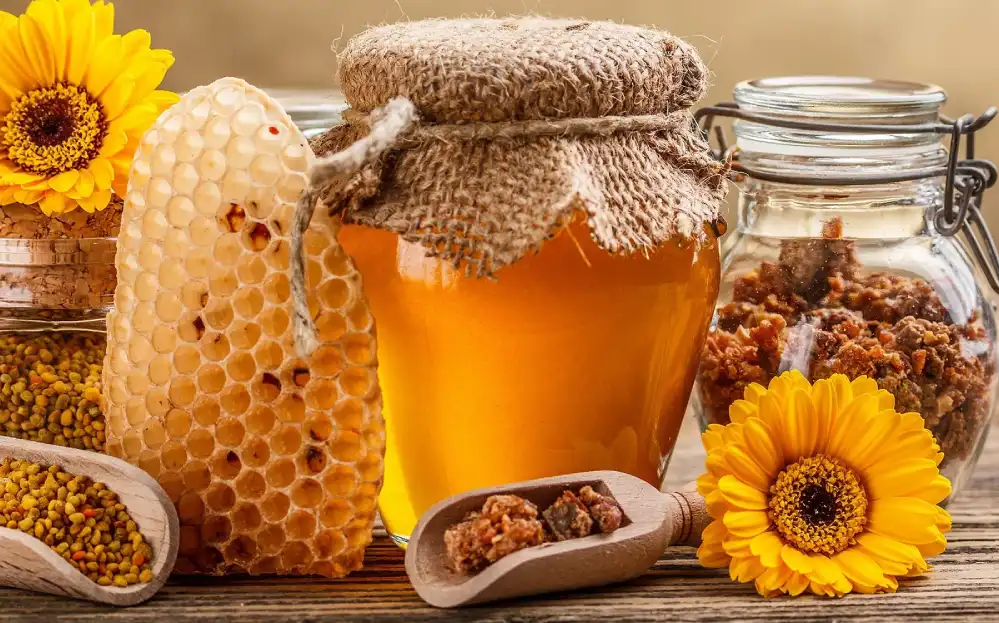 Прополіс – природний еліксир здоров’я. Як приготувати лікувальну настоянку в домашніх умовах