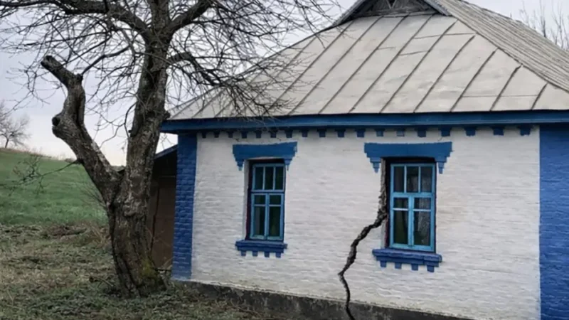 Якщо у вас біля дому є горіх — вам це не сподобається