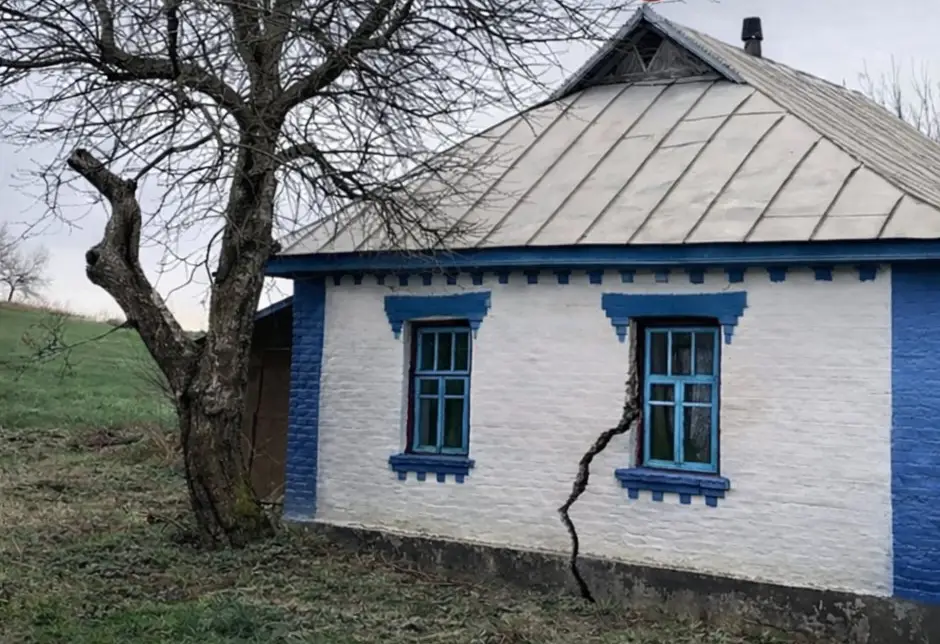 Якщо у вас біля дому є горіх — вам це не сподобається